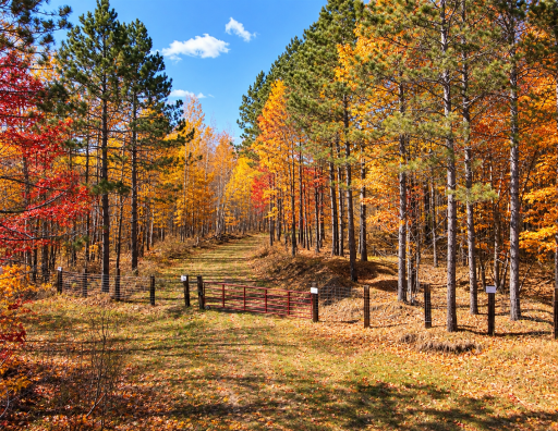 TBD (280AC) Maple Grove Road, Cloquet, MN 55720