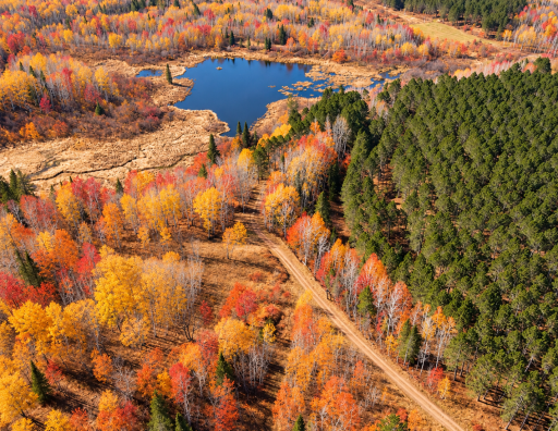 TBD (280AC) Maple Grove Road, Cloquet, MN 55720