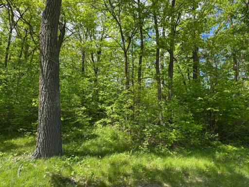 0 Captive Lake Rd, Garrison, MN 56450