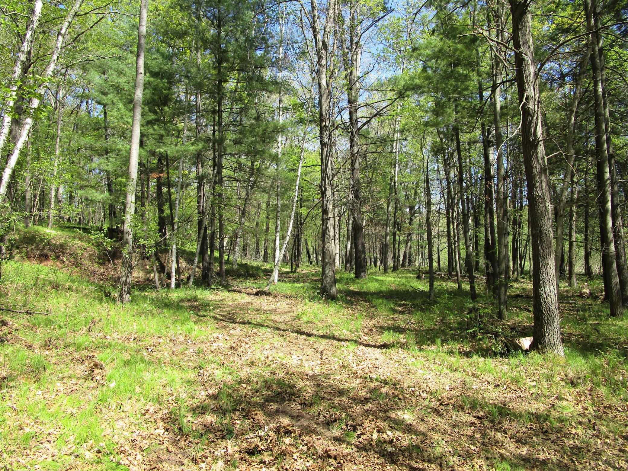 Land/Lot - 8.2 Acres