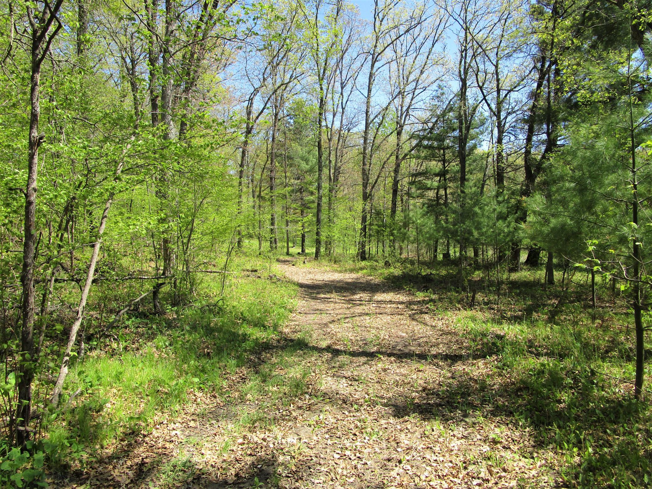 Land/Lot - 8.2 Acres