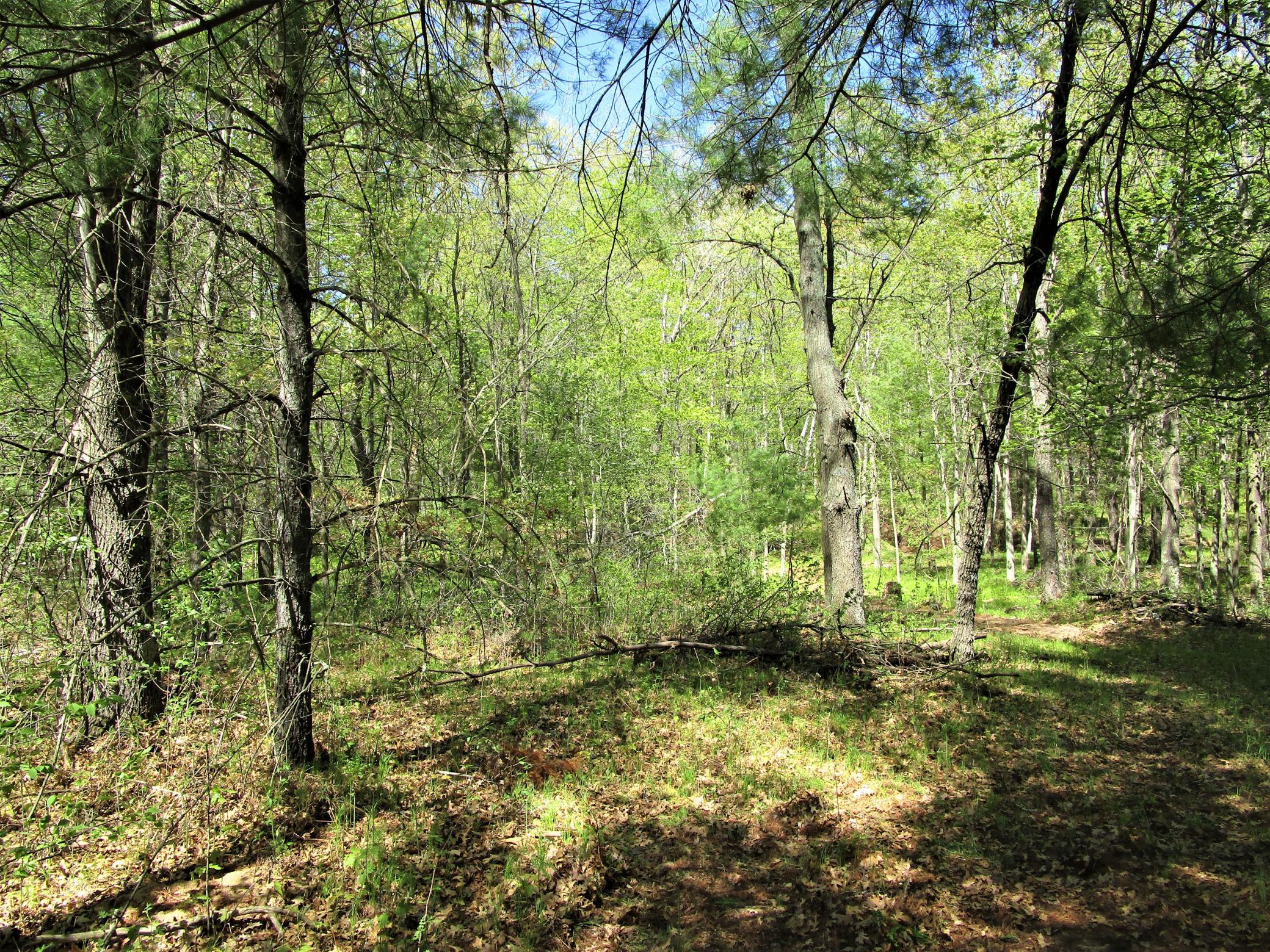 Land/Lot - 8.2 Acres