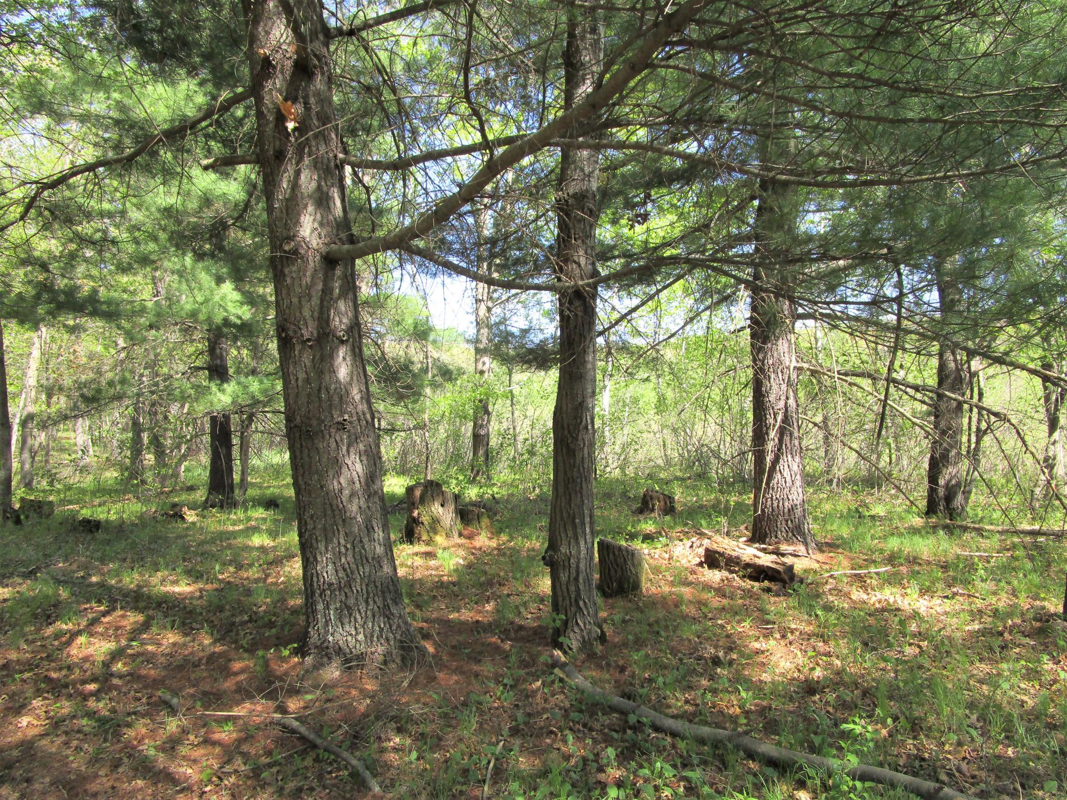 Land/Lot - 8.2 Acres