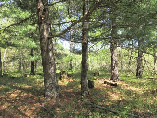 XX S Long Lake Rd, Siren, WI 54872