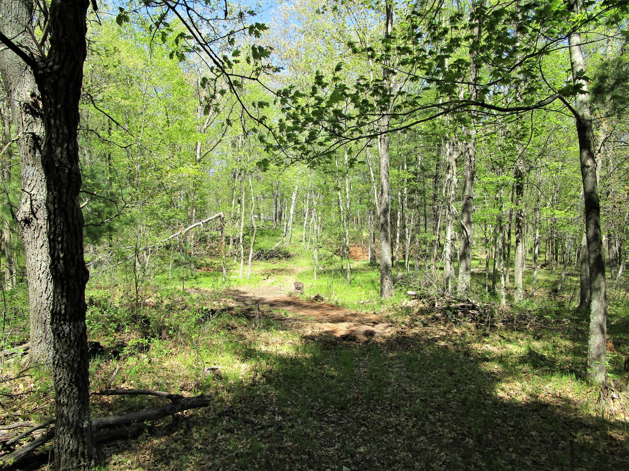 Land/Lot - 8.2 Acres