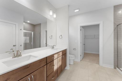 Owner's Suite Primary Bathroom & Walk-In Closet