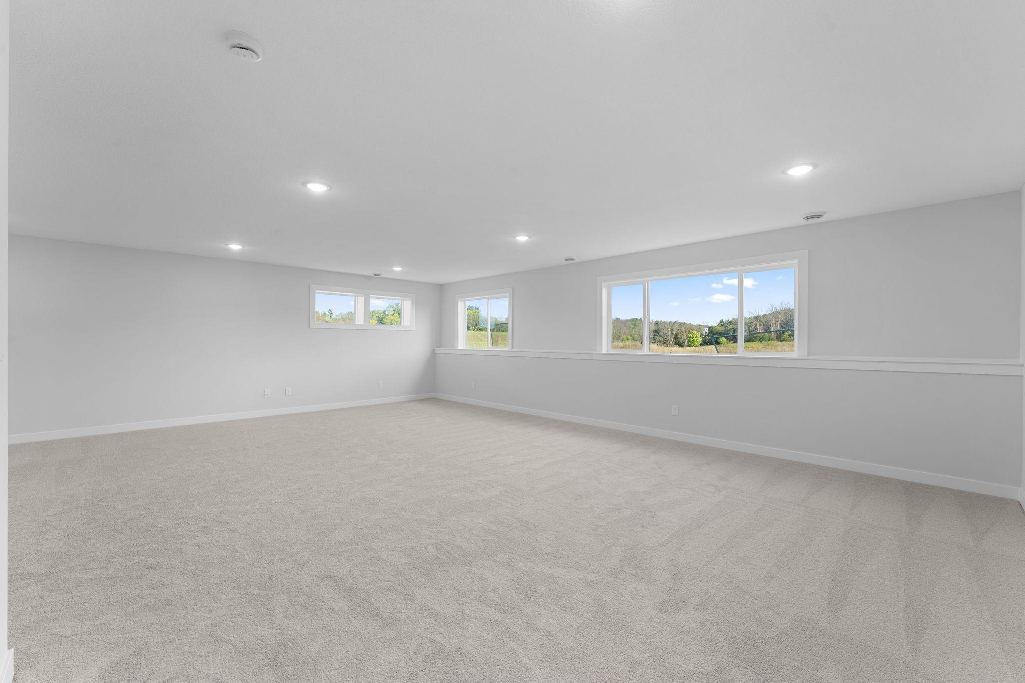 Lower Level Family Room
