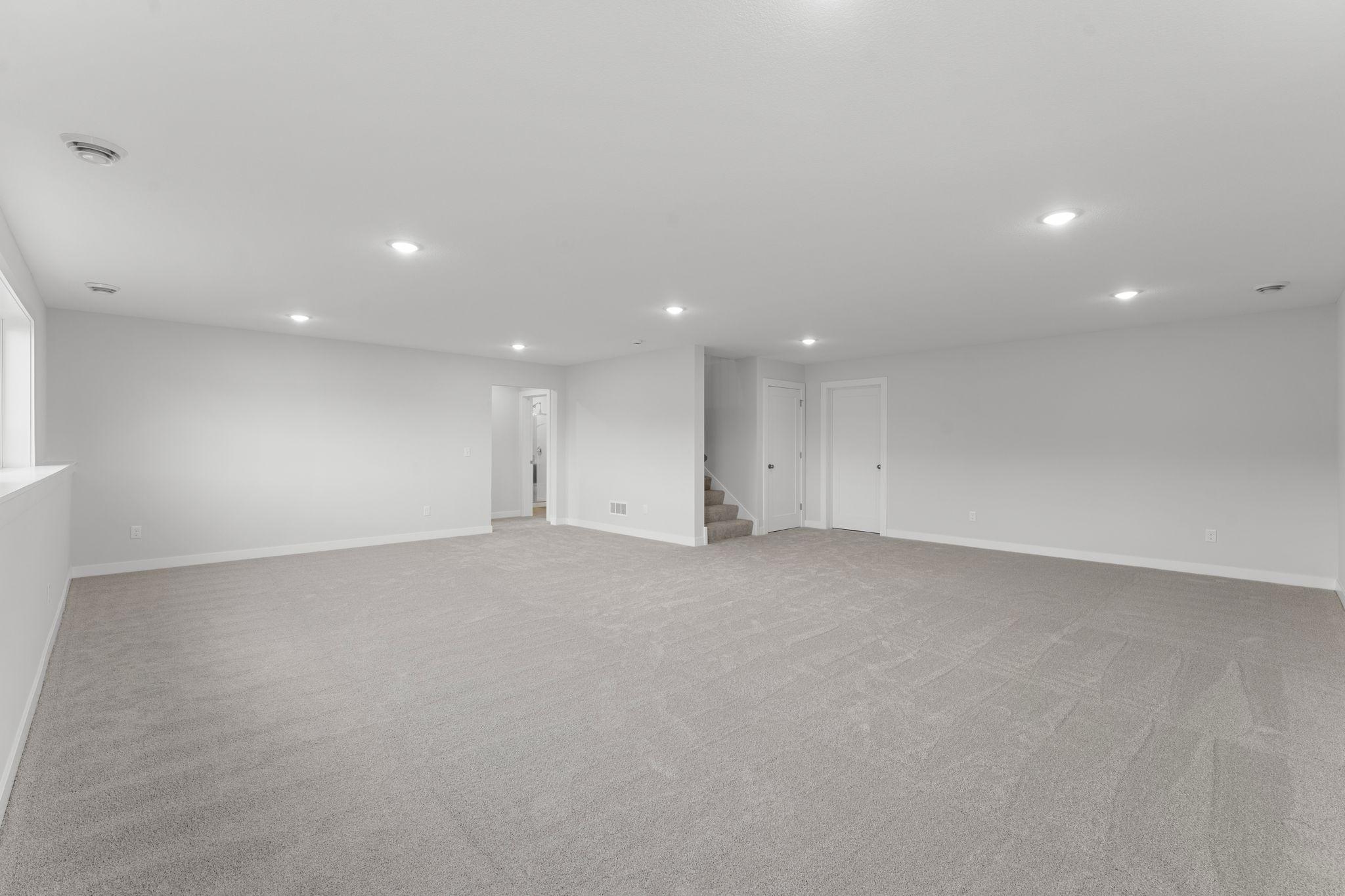 Lower Level Family Room