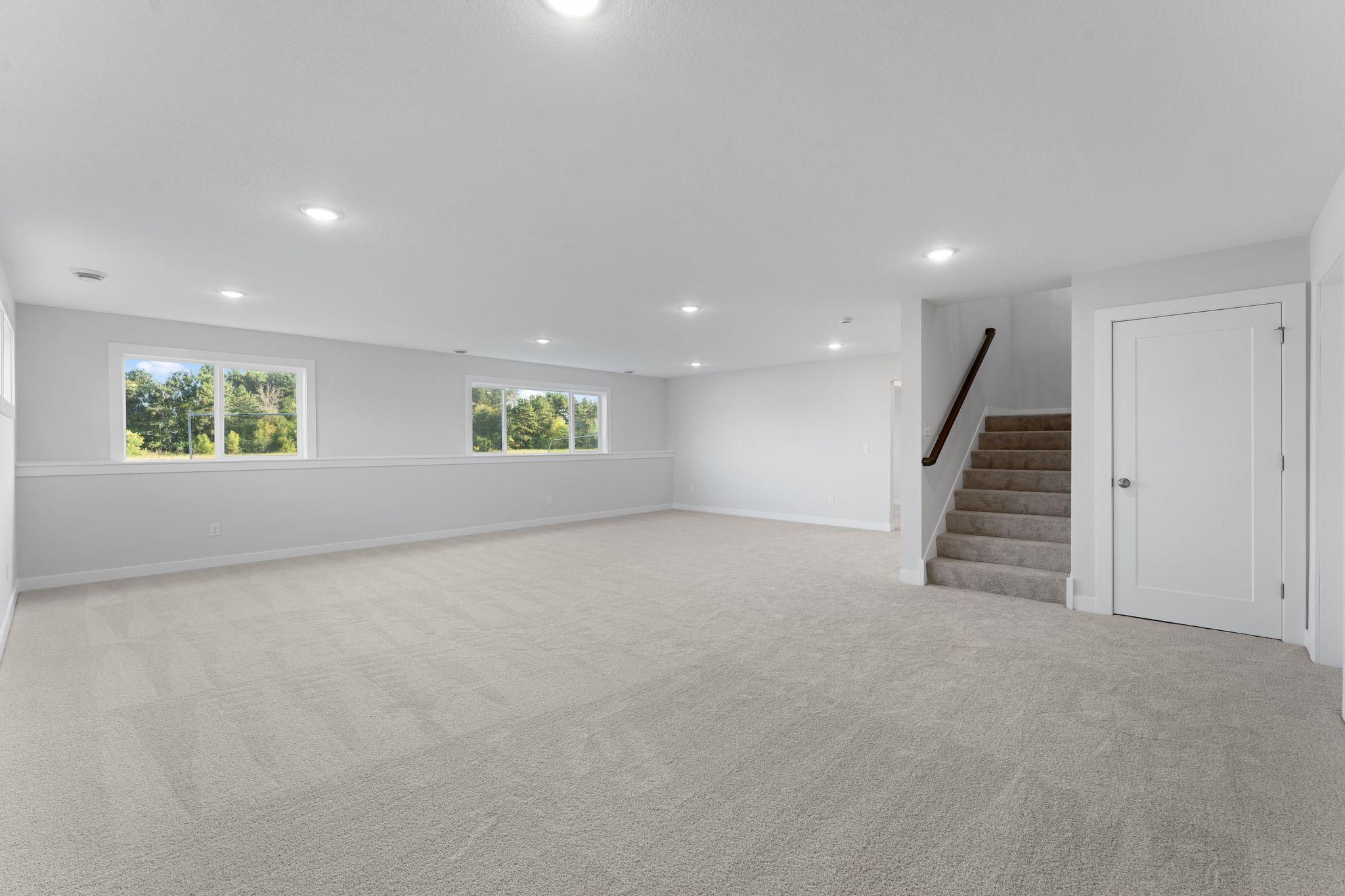 Lower Level Family Room
