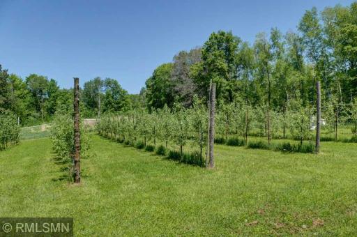 654 115th Street, Amery, WI 54001