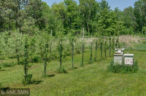 654 115th Street, Amery, WI 54001