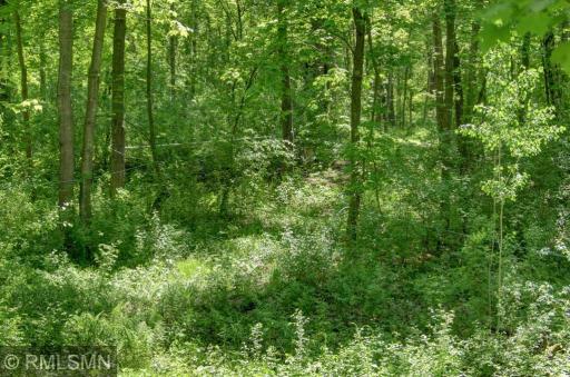 654 115th Street, Amery, WI 54001