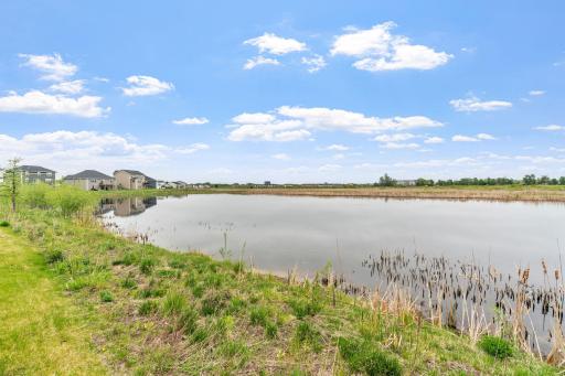 LIKE NEW twin home on premium lot w/ pond, wetland & nature views