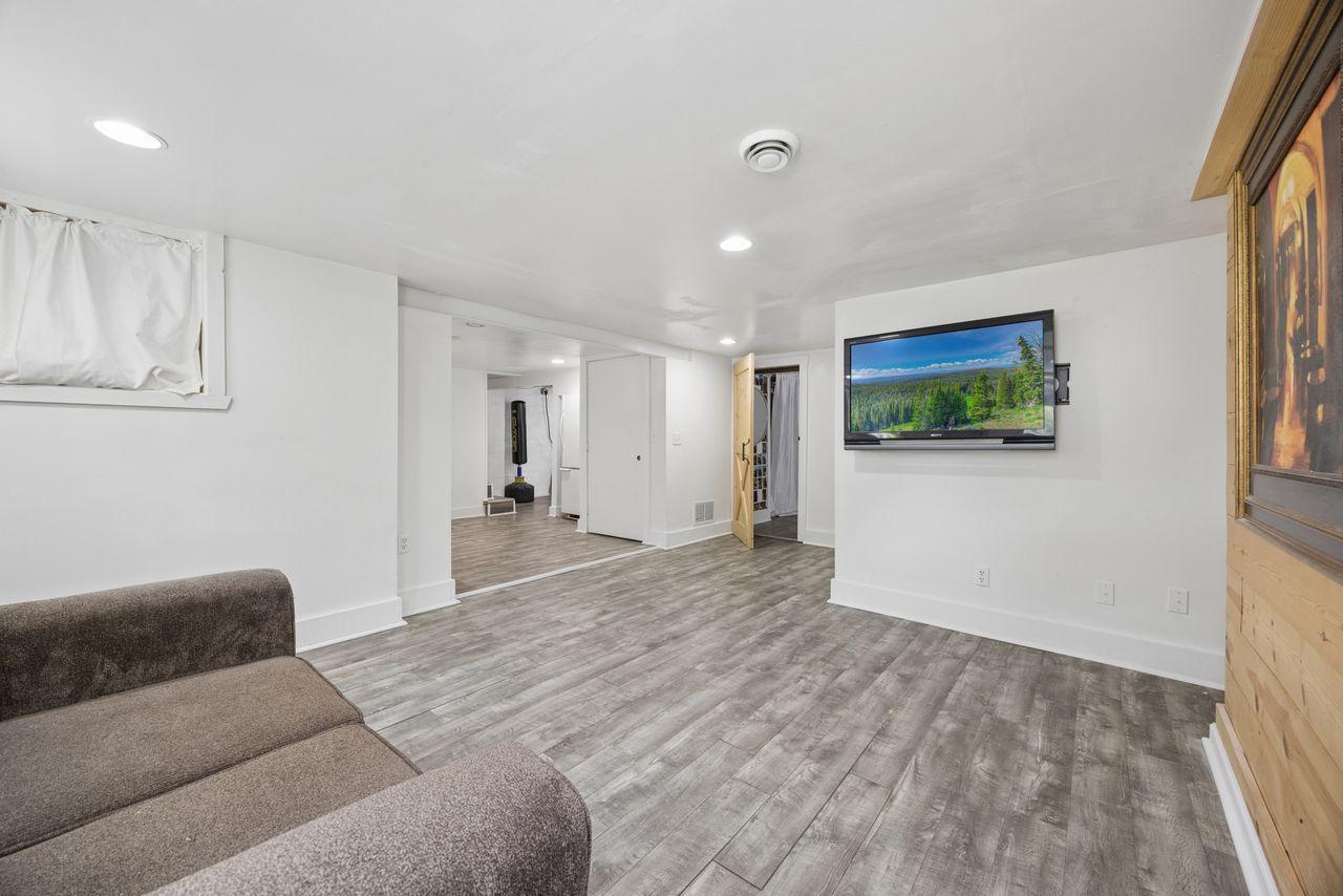 Lower level family room