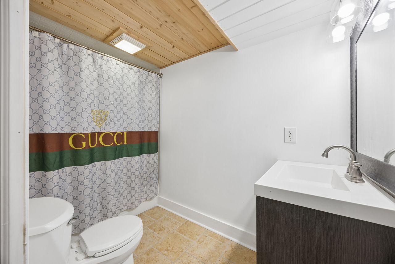 Lower level bathroom