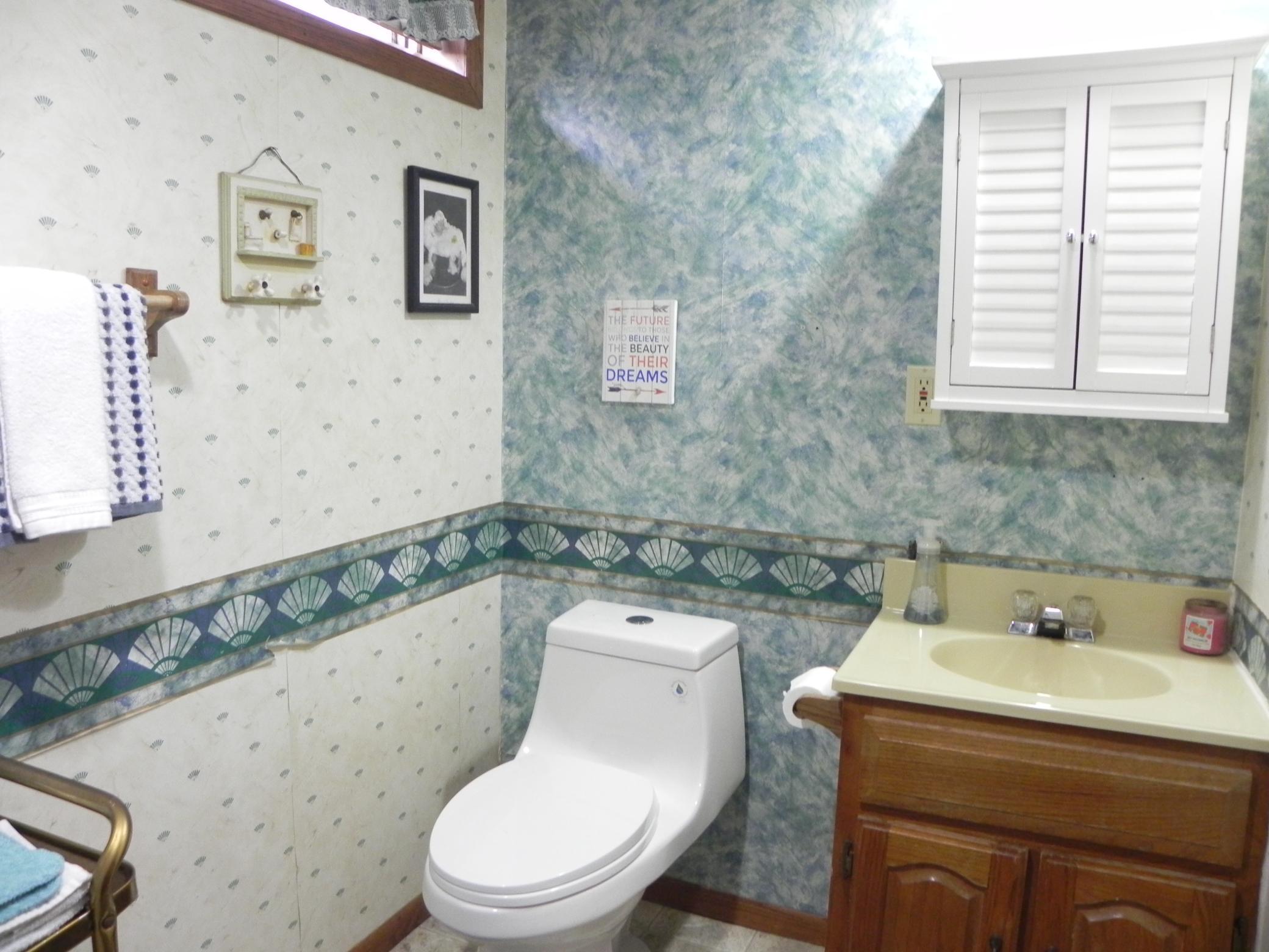 Basement Bathroom