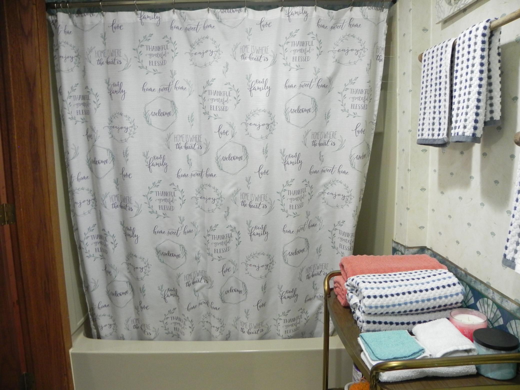 Basement Bathroom view 2