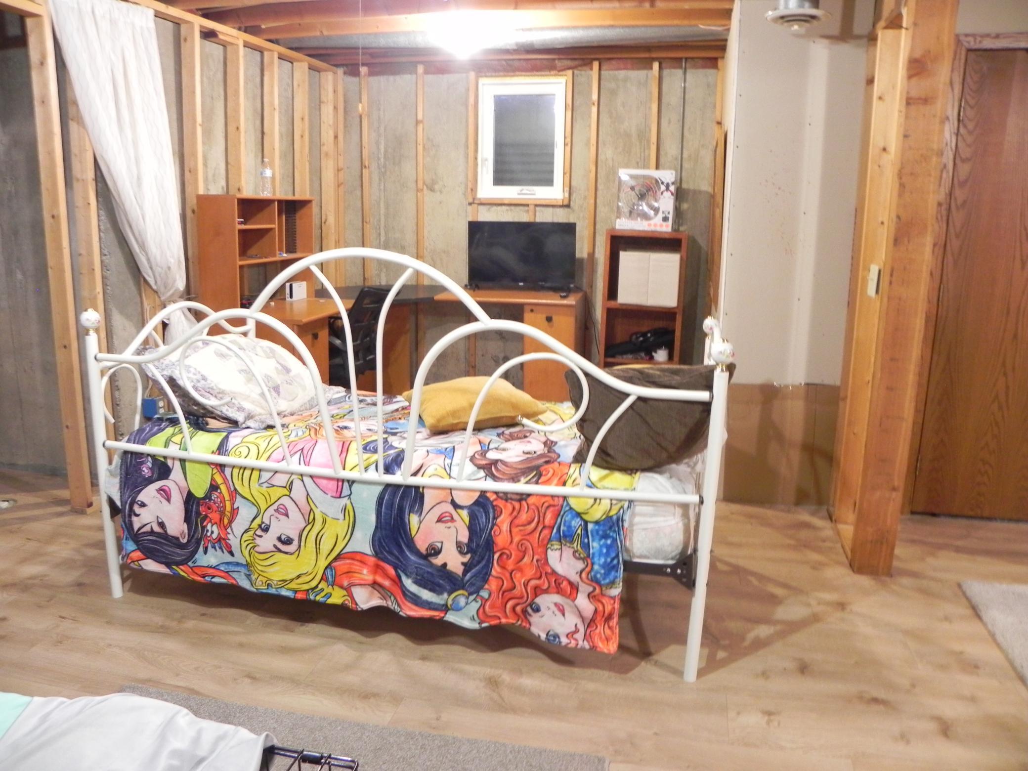 Basement Room view 2