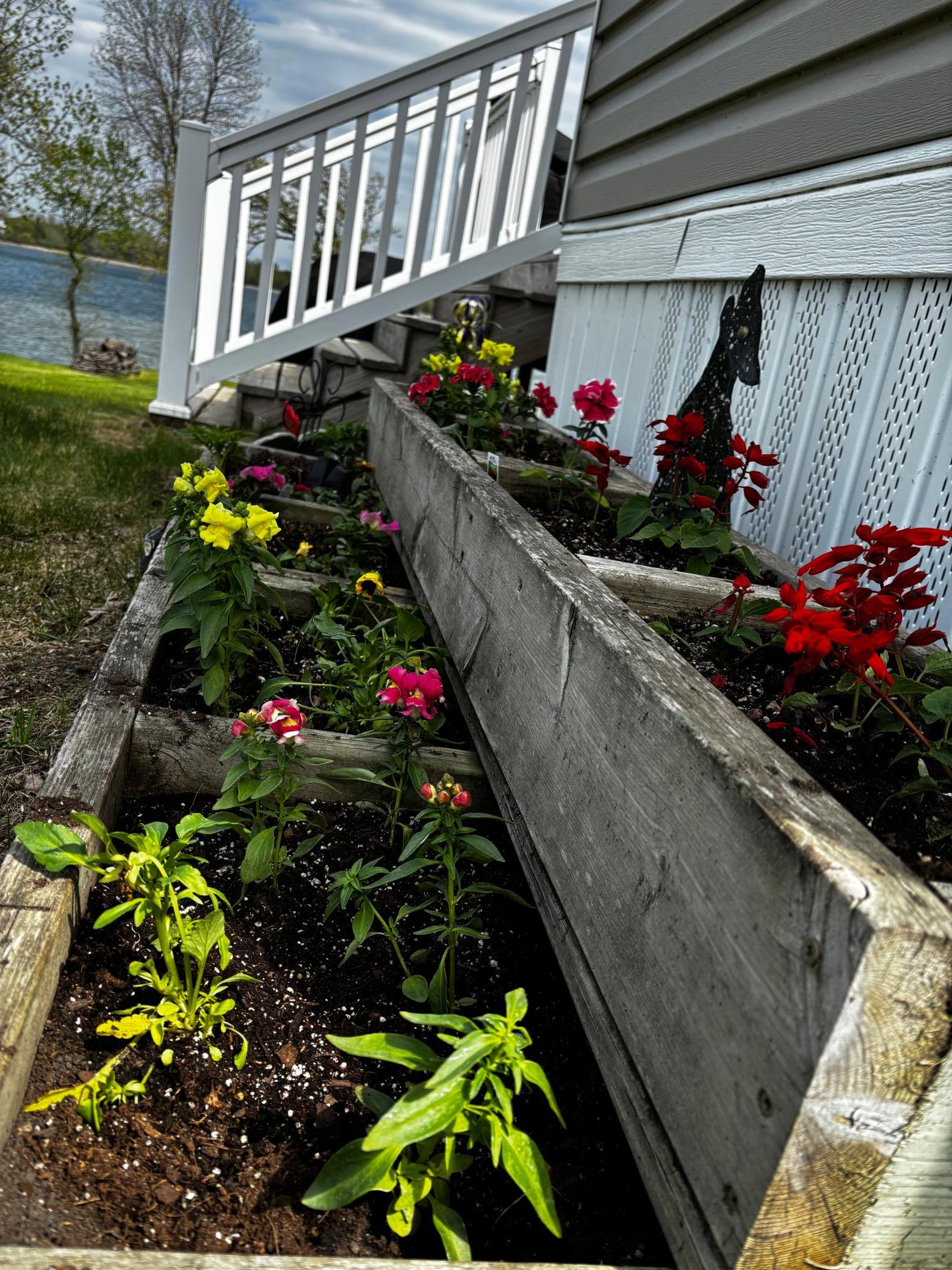 Flowerbeds