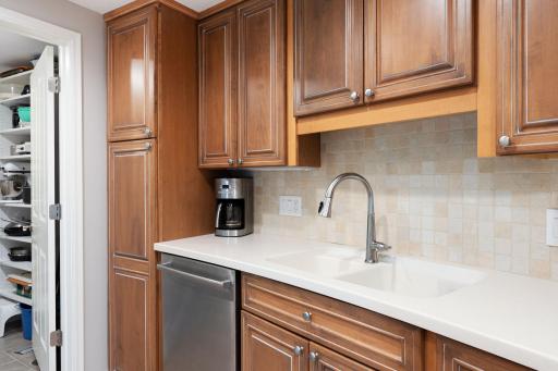 Beautiful kitchen detail with abundant cabinetry, tiled backsplash, stainless steel dishwasher, and convenient pantry/storage access nearby.