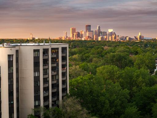 Minneapolis skyline views over lush treetops, capturing the beauty of city living near the lakes.