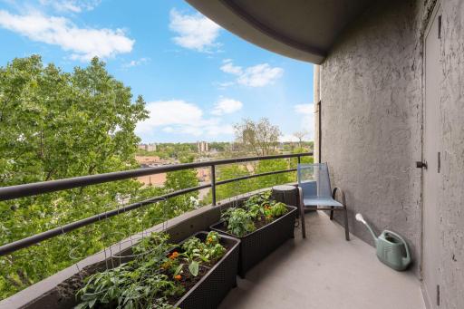 Covered private balcony with room for seating and planters, offering peaceful treetop views and an inviting outdoor escape.