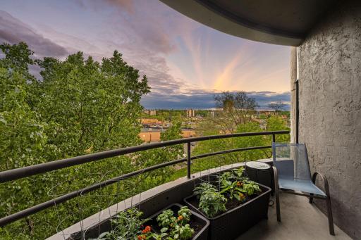 Private covered balcony with space for seating and planters, offering treetop views and a relaxing outdoor retreat.