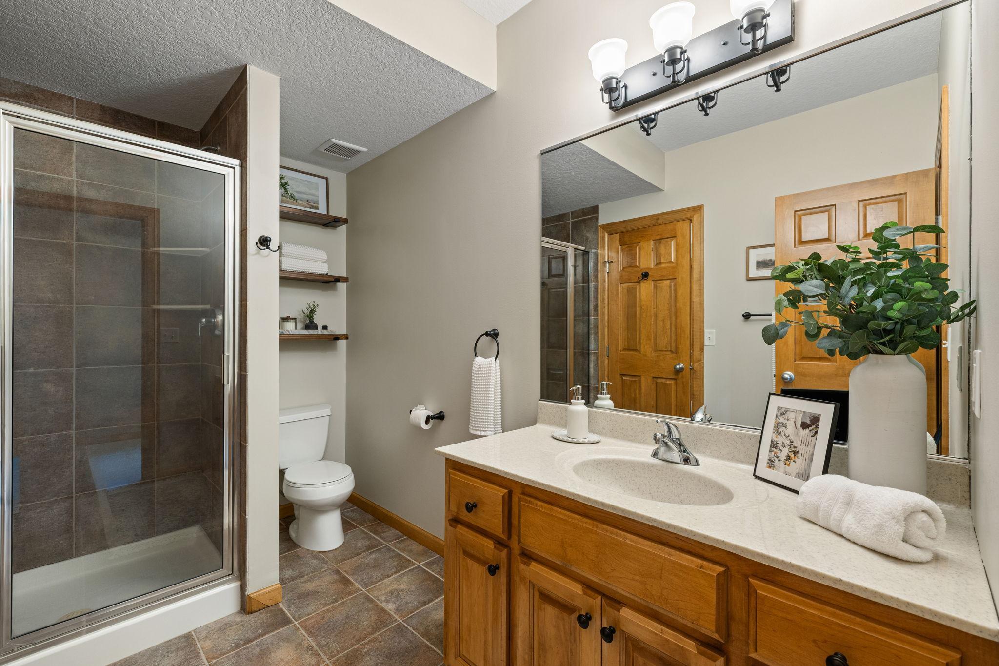 Lower level bathroom