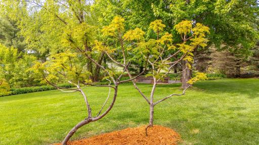 20623 Hartford Way, Lakeville, MN 55044
