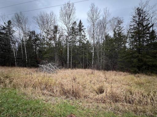 TBD Townline Rd, Hibbing, MN 55746