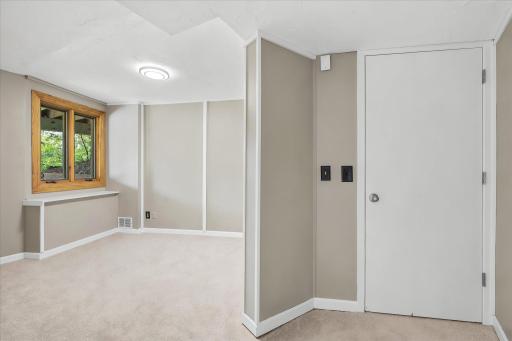 Lower level Bedroom (5 of 5) with large walk-in closet