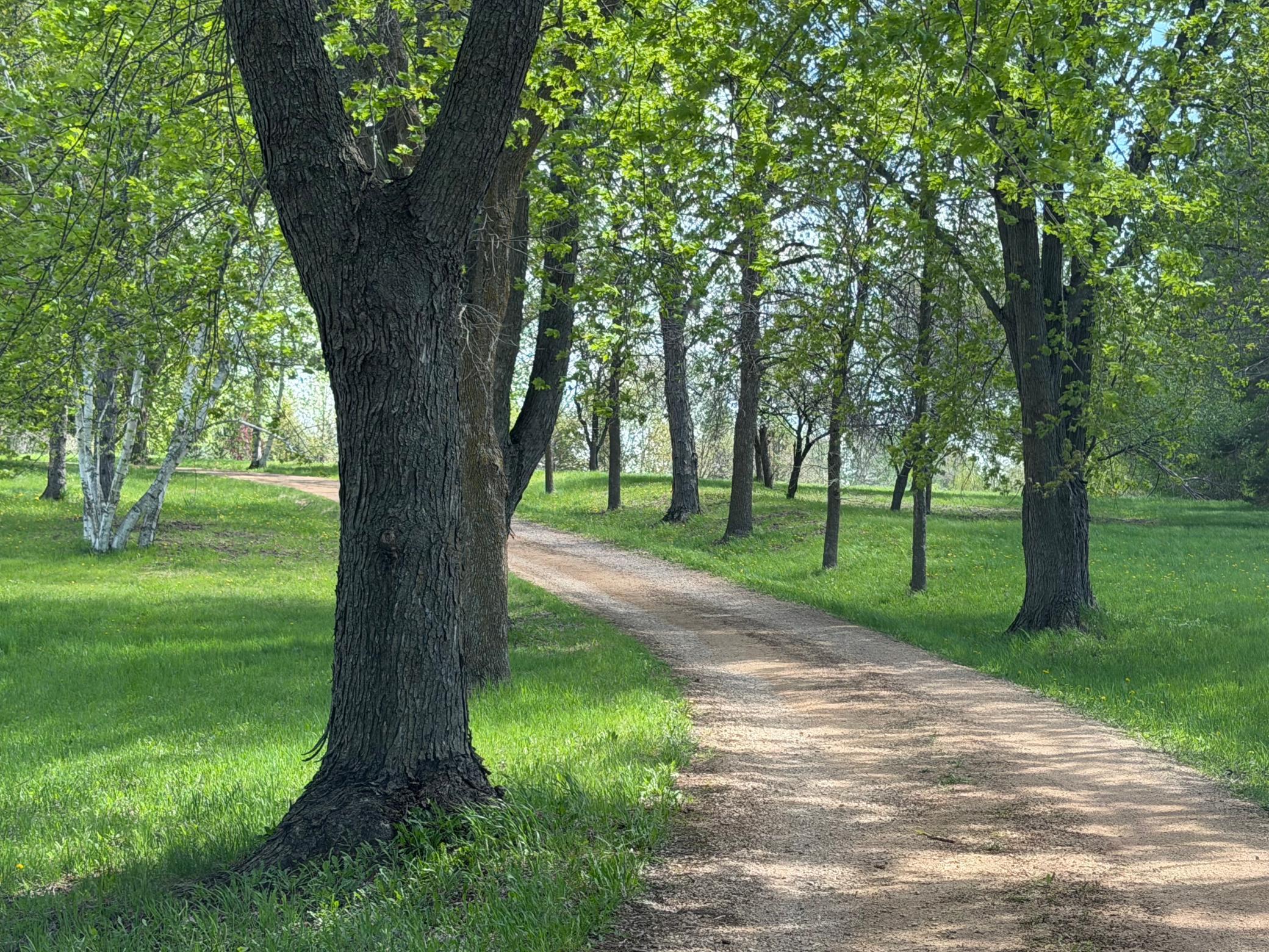 Treelined private drive to your own piece of heaven on almost 7 acres. Existing home on site approved for ADU/guest house if build dream home.