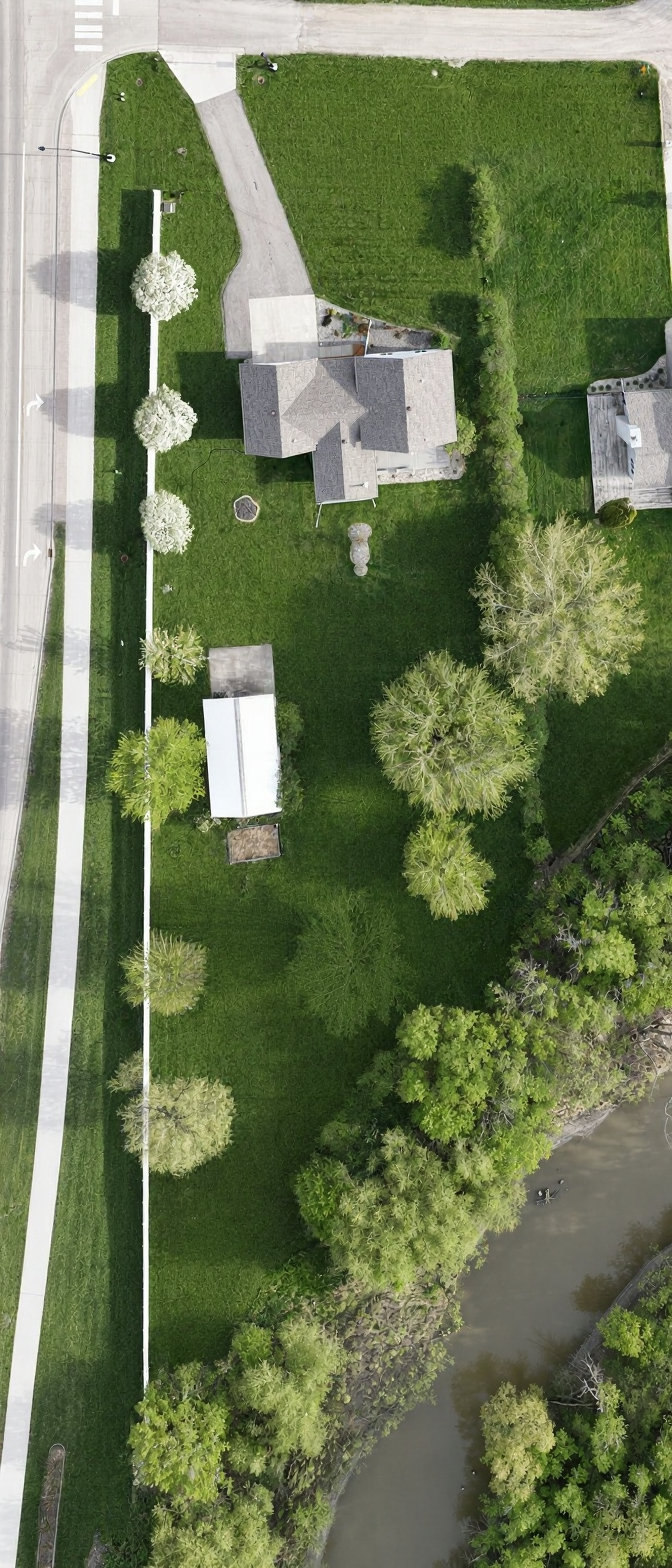 Bird's-Eye View
