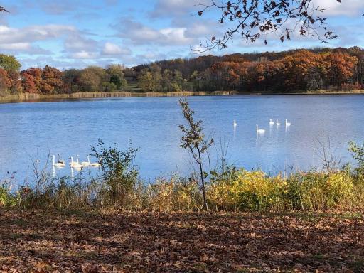 1653 State Road 48, Frederic, WI 54837