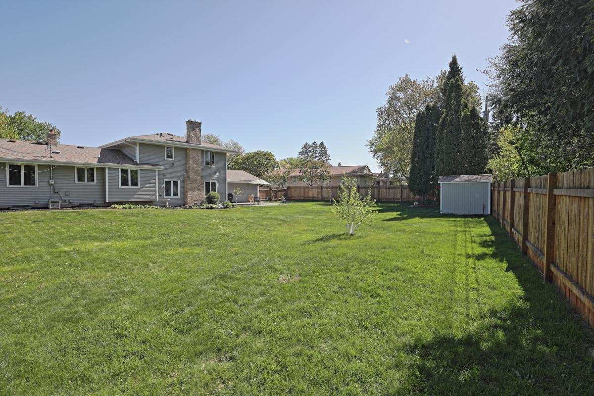 Back yard 3.JPG
