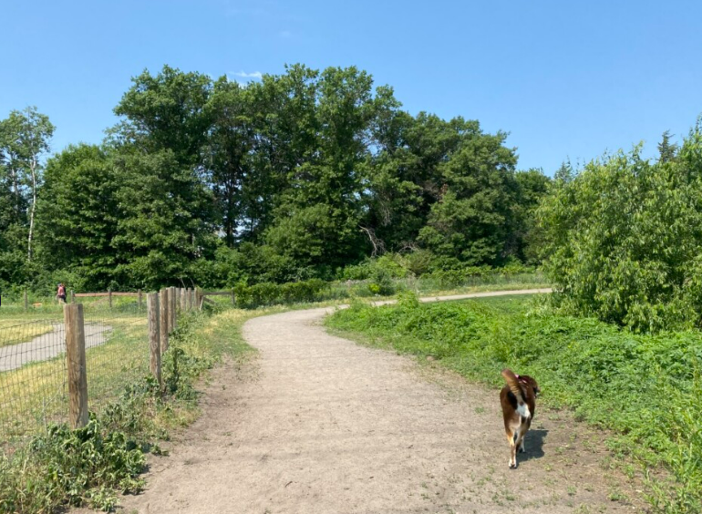 Southbridge Dog Park in Shakopee lets our furry friends run free!