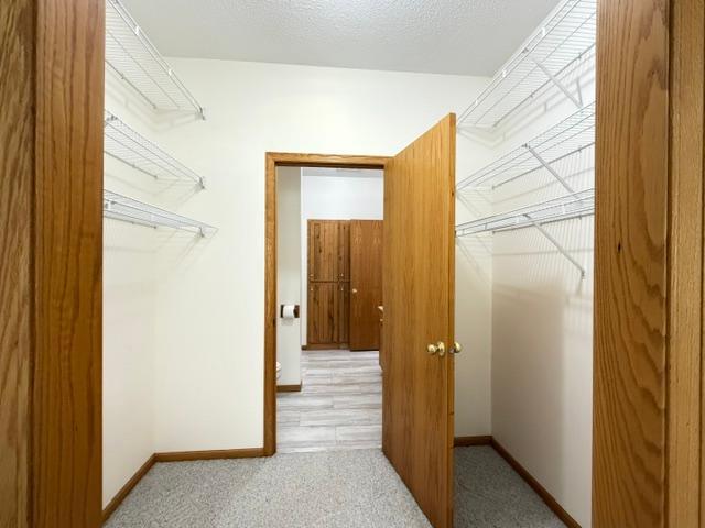 Primary Pass-Through Closet