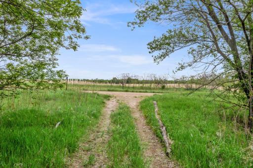 5 sensational acres to build your dream home on