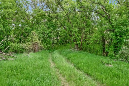 12290 62nd Street NW, Annandale, MN 55302