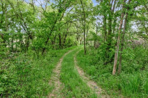 12290 62nd Street NW, Annandale, MN 55302