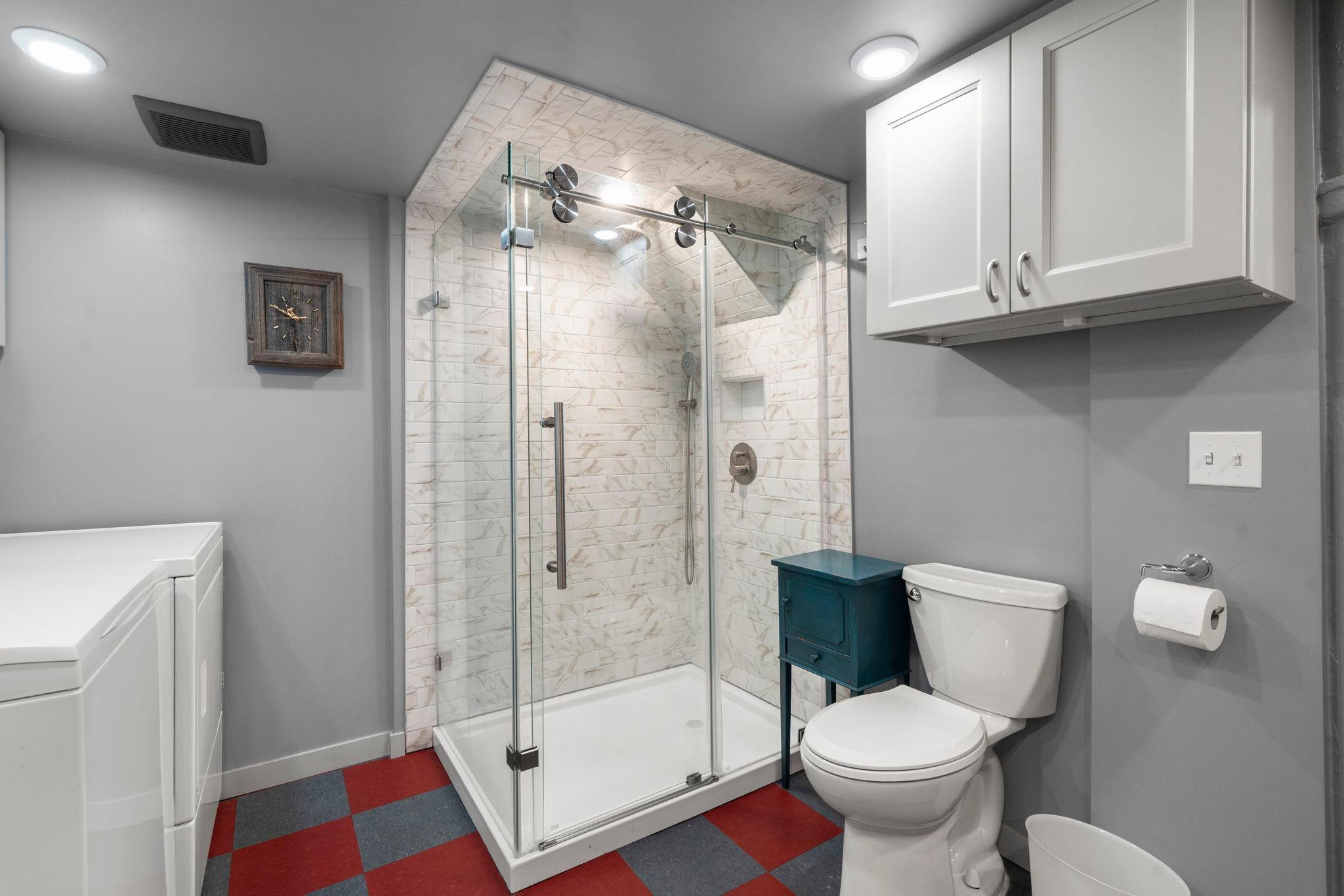 Lower level bathroom