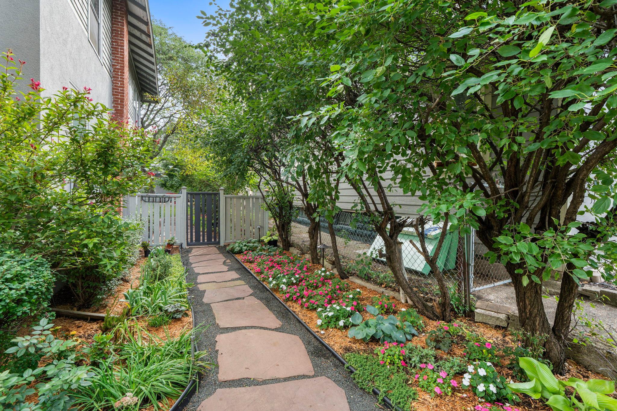 South side yard