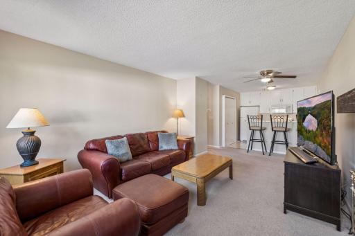 8646 S Maplebrook Circle, Minneapolis, MN 55445