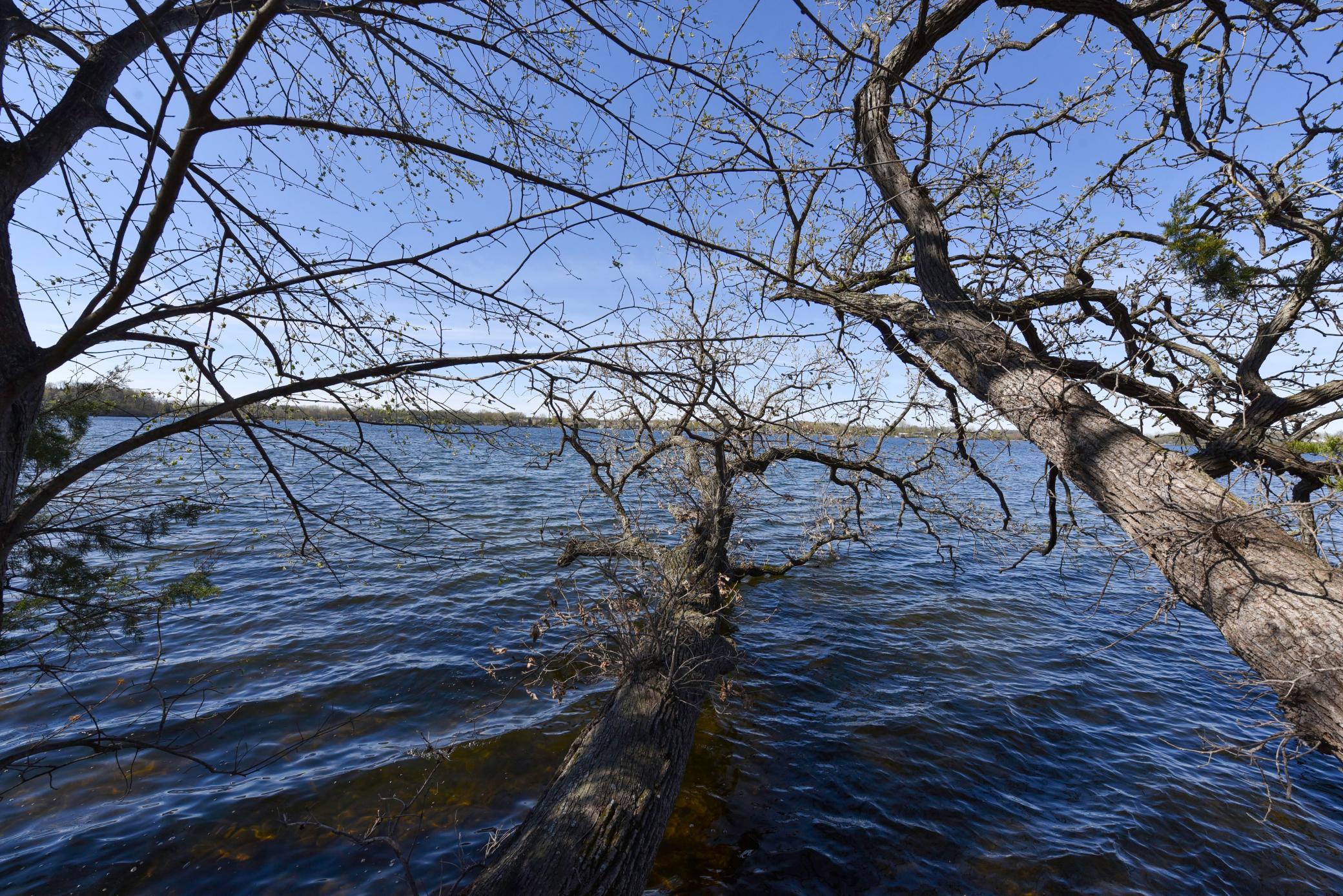 DSC_4323-Edit.jpg