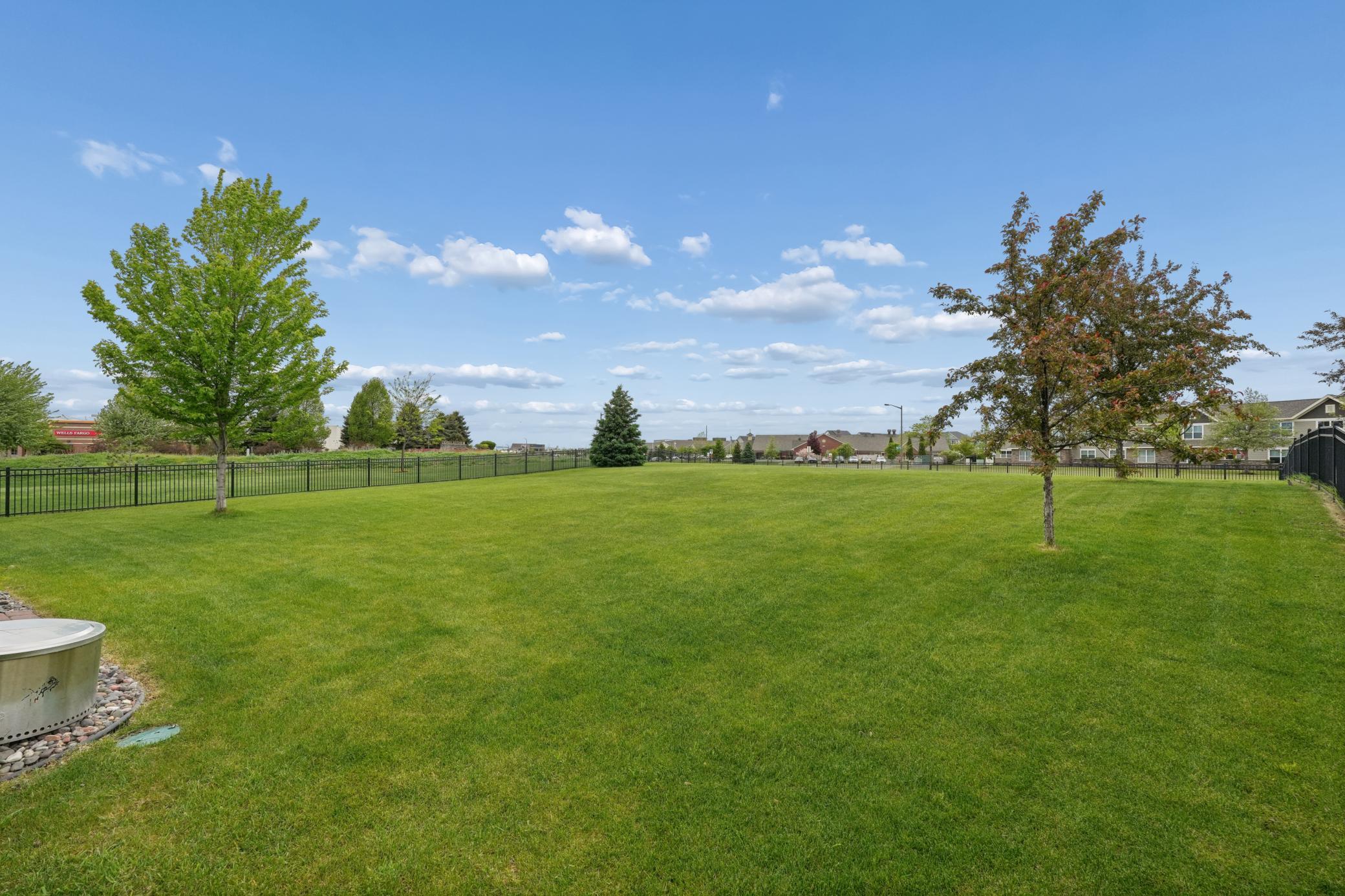 Flat, open, and fenced backyard with plenty of room to run around and enjoy the outdoors.
