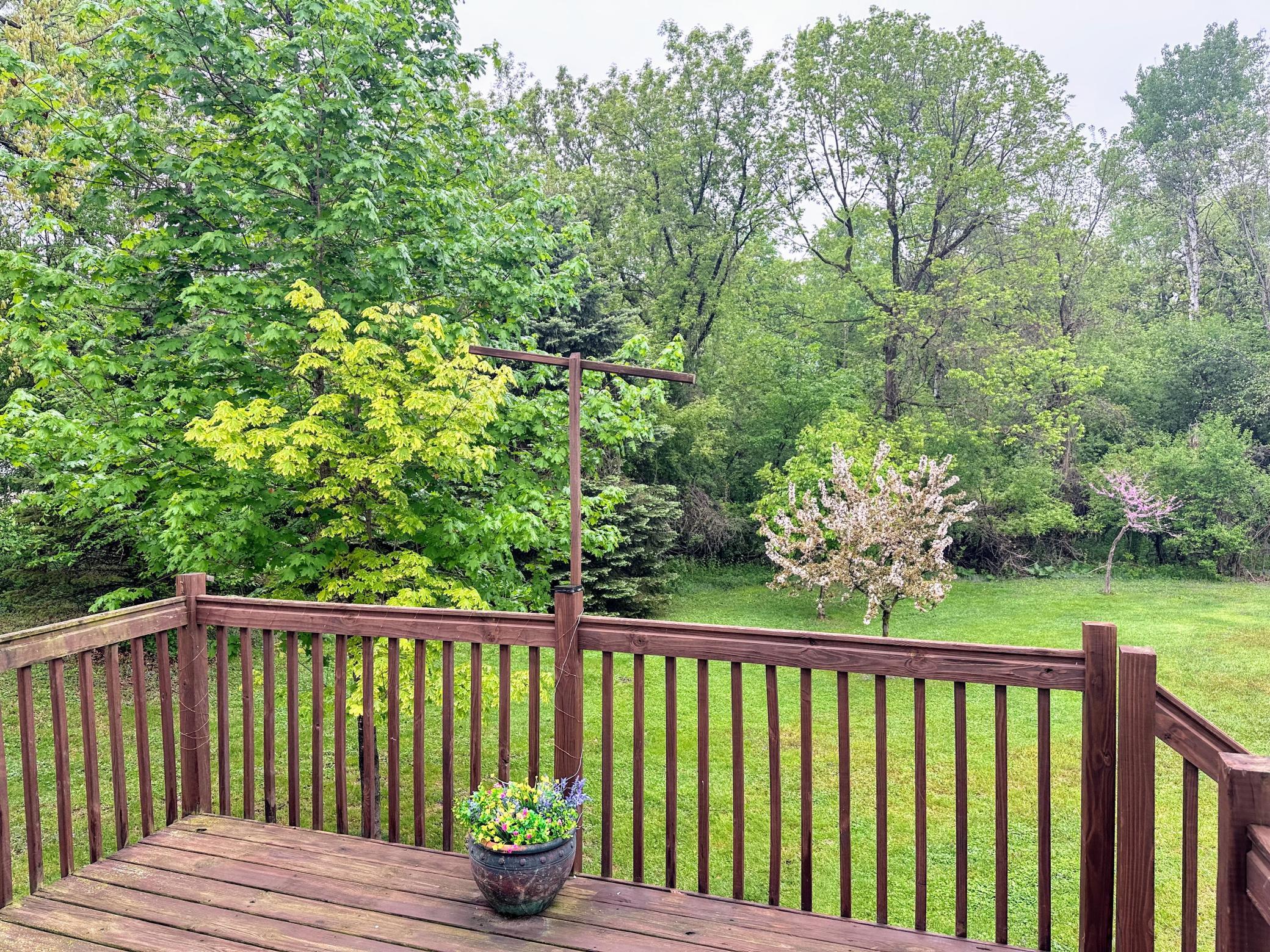 Backyard view from deck