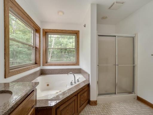 19407 Yukon Street NW, Cedar, MN 55011