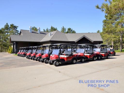 12153 Blueberry Loop, 23, Menahga, MN 56464