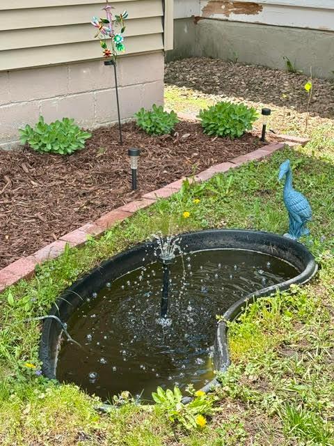 Nicely landscaped