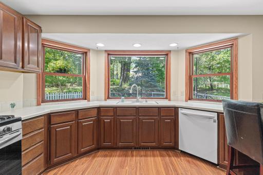 669 Windtree Knolls, Saint Paul, MN 55123